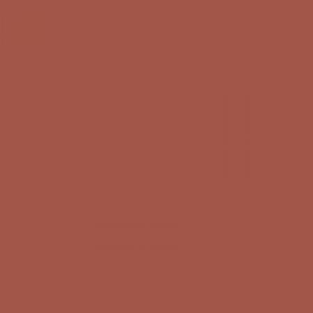 Deborah Milano oční stín Color Lover (Wet&Dry), 08 Marrone, 3,5g