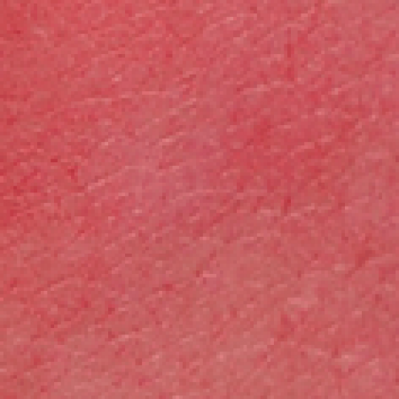 JöVő tint na rty a tváře 2v1, 03 Wild Strawberry, 6ml