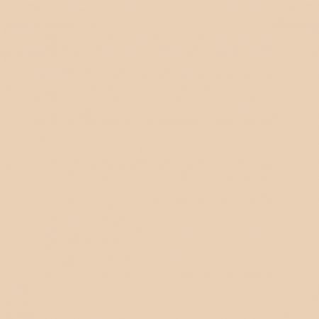 TOPFACE pudrový make-up Super Match, 004, 10g