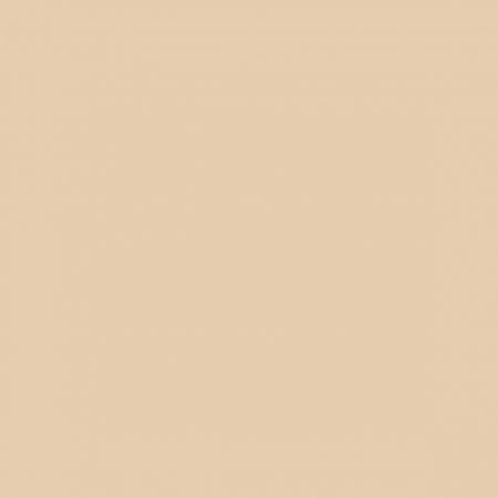 TOPFACE pudrový make-up Super Match, 005, 10g