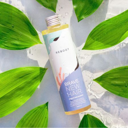 Brave New Hair revitalizační a hloubkově hydratační šampon na vlasy, Reboot, 250ml