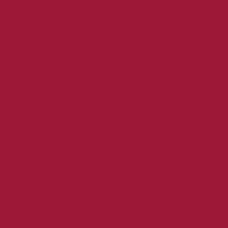 PASTEL COSMETICS lak na nehty, 446 - Siren, 13ml